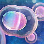 ES細胞（胚性幹細胞）
